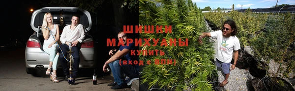 мяу мяу кристалл Дмитров