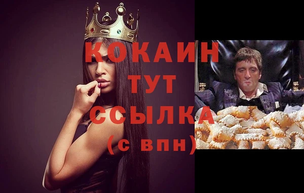 хмурый Дмитриев